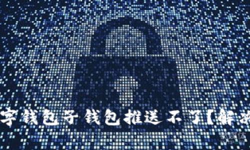 ### 为什么数字钱包子钱包推送不了？解决方法与原因分析