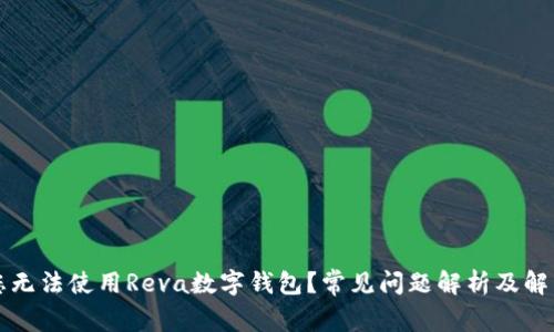 为何您无法使用Reva数字钱包？常见问题解析及解决方案