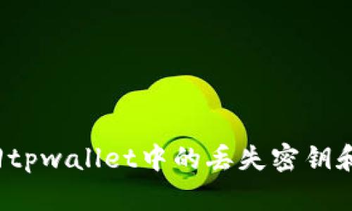 如何找回tpwallet中的丢失密钥和助记词?