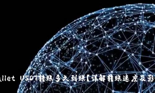 TP Wallet USDT转账多久到账？详解转账速度及影响因素