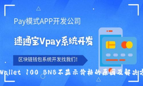 TPWallet 100 BNB不显示价格的原因及解决方案