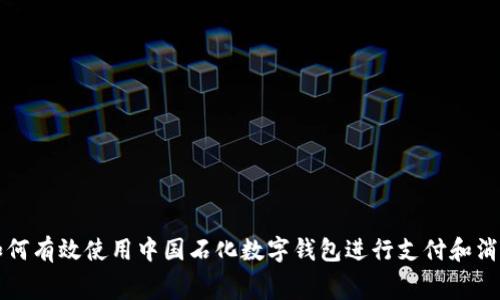 如何有效使用中国石化数字钱包进行支付和消费