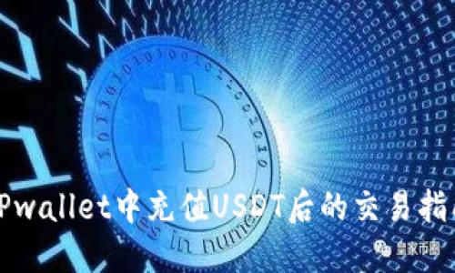 TPwallet中充值USDT后的交易指南