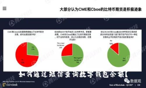 如何通过短信查询数字钱包余额？