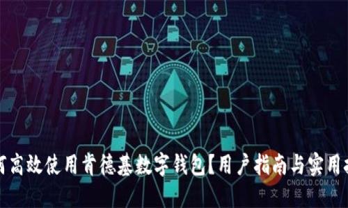 如何高效使用肯德基数字钱包？用户指南与实用技巧