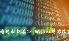 如何通过私钥在TP Wallet中修改密码？