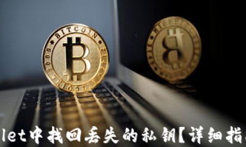 
如何在TPWallet中找回丢失的私钥？详细指南与解决方案