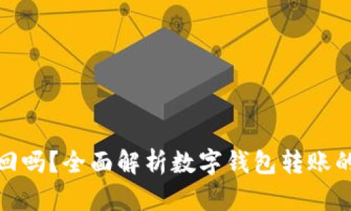 数字钱包转账可以追回吗？全面解析数字钱包转账的不可逆性及解决方案