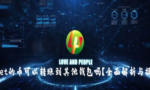 TPWallet的币可以转账到其他钱包吗？全面解析与操作指南