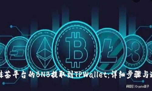 如何将抹茶平台的BNB提取到TPWallet：详细步骤与通道解析