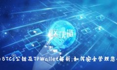 : 中本聪币BTCs公链及TPWallet解析：如何