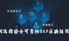 如何选择安全可靠的BKP区块链钱包？
