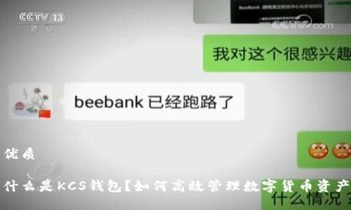 优质

什么是KCS钱包？如何高效管理数字货币资产