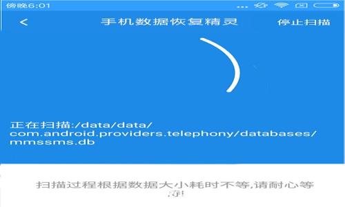 数字钱包应用渠道深入解析:如何选择合适的支付平台