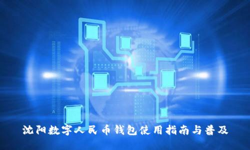 沈阳数字人民币钱包使用指南与普及