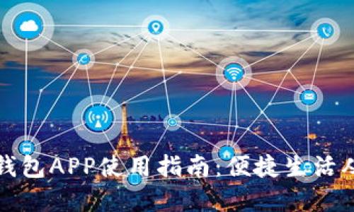 兰州数字钱包APP使用指南:便捷生活从这里开始