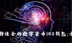如何选择适合的数字货币iOS钱包：全面指南